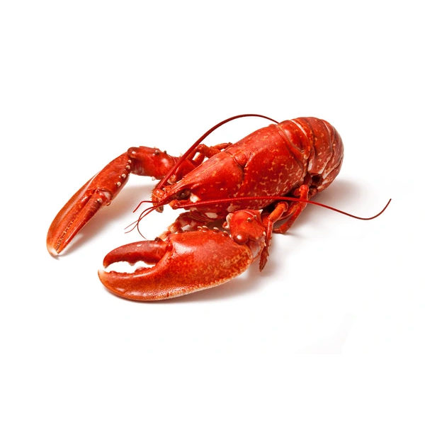 whole Lobster