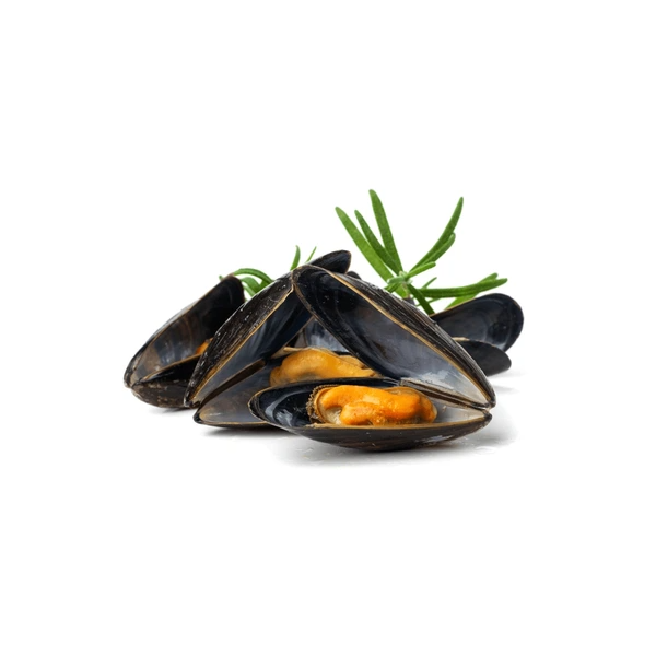 mussels full shell 500gm