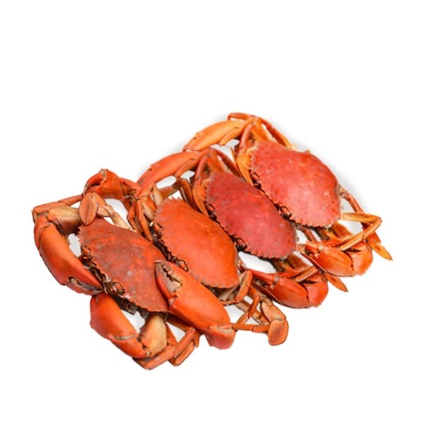 Large Female Roe Crab 3kg 3-4 pcs per kilo